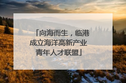 向海而生，临港成立海洋高新产业青年人才联盟